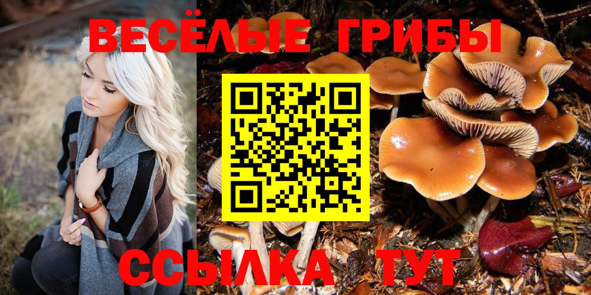 Галлюциногенные грибы мицелий  Вход с VPN  сколько стоит  Крымск  Галлюциногенные грибы мицелий 